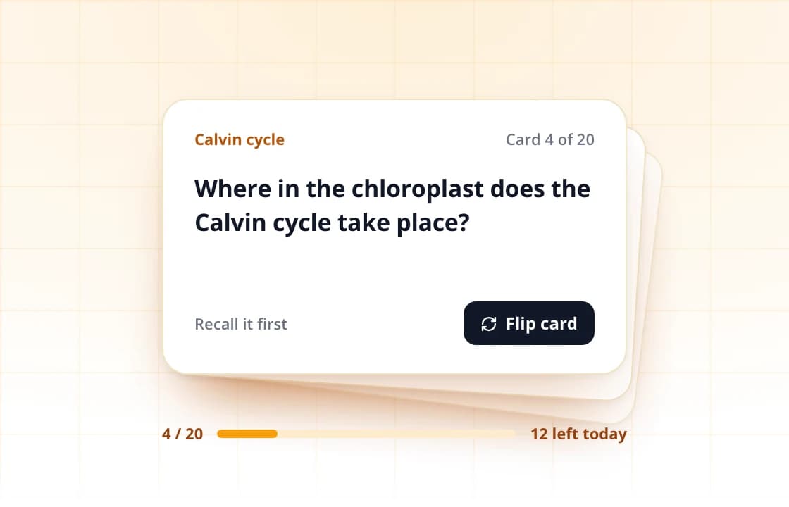 Study Desk: Flashcards in one tap